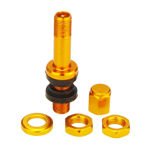 Valve for wheels X2 Series Gold Edition (Clamp-in, aluminum TR48E) - 1 pcs. - Carbonado