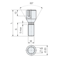 Schraube M14x1.5 / 30mm / für enge Löcher / Torx - (verzinkt) - Carbonado