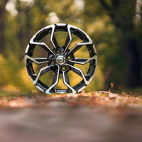 Alloy Wheels 17" 5x114,3 Carbonado Explode BFP