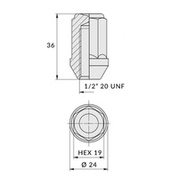 Closed wheel nuts for alloy wheels 1/2"-20 UNF zinc-plated, 19 mm hex, IS - Carbonado