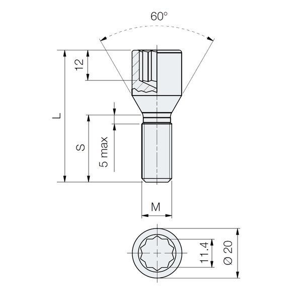 Schraube M14x1.5 / 30mm / für enge Löcher / Torx - (verzinkt) - Carbonado