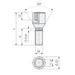 Śruba M12x1.25 / 36mm / do wąskich otw. / Torx - (ocynk) - Carbonado